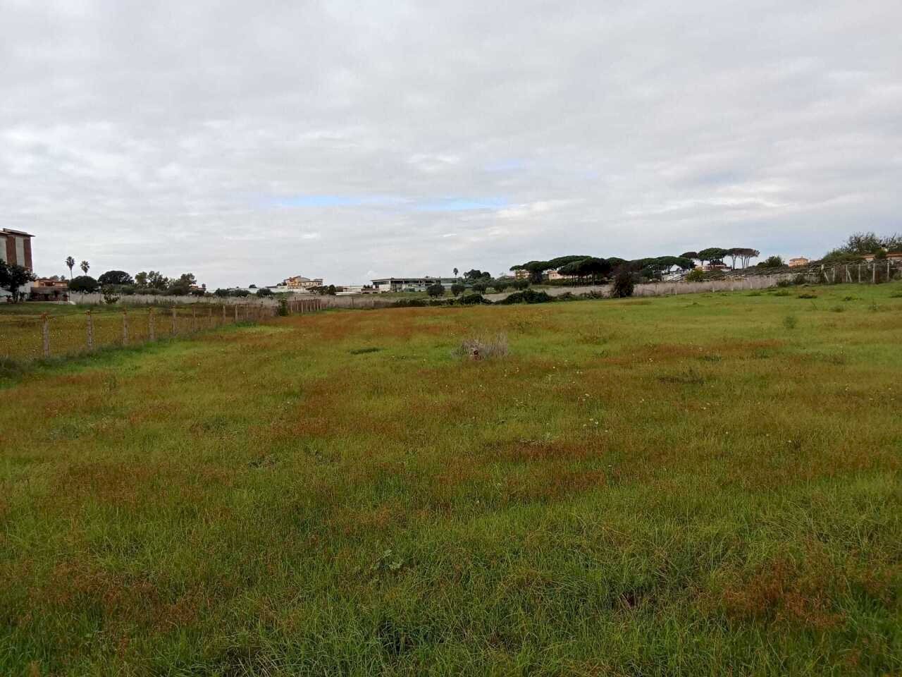 terreno - Terreno agricolo Via del Pino, Nettuno - foto 2