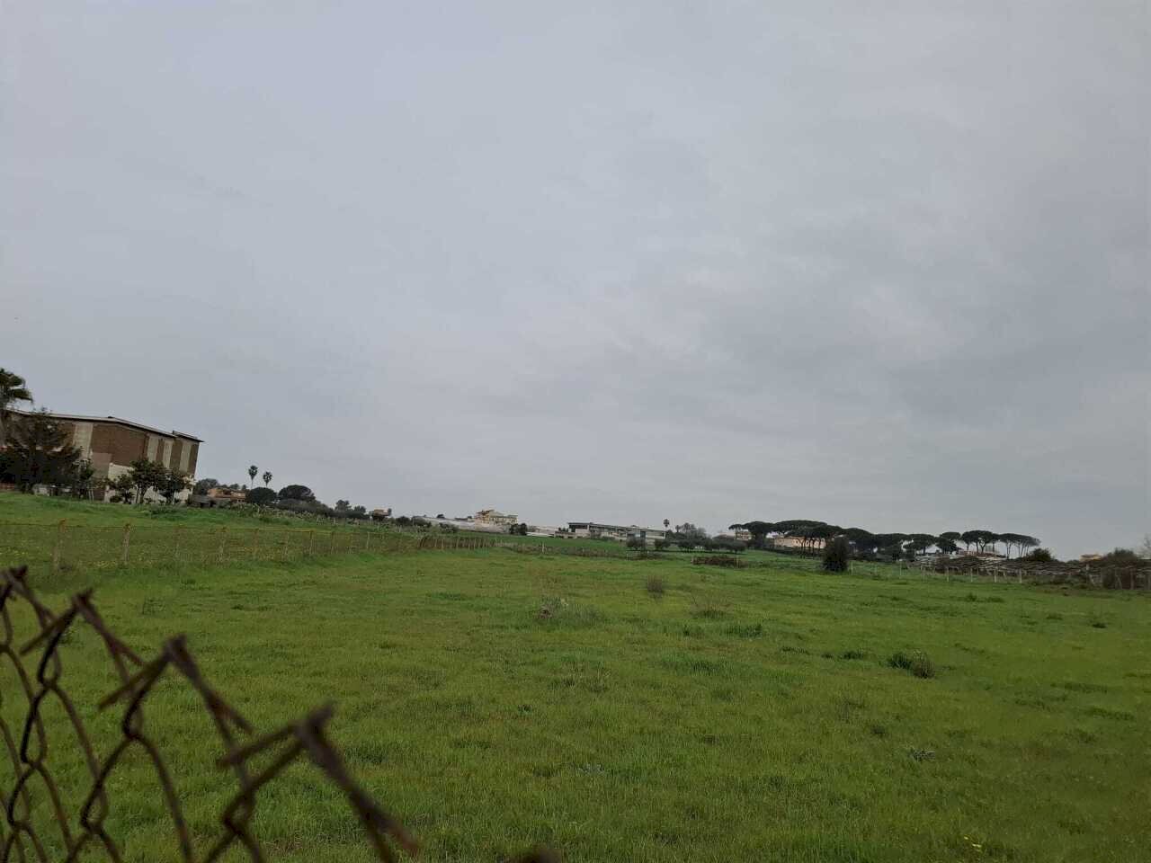 terreno - Terreno agricolo Via del Pino, Nettuno - foto 3