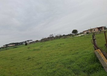 terreno - Terreno agricolo Via del Pino, Nettuno - foto 1