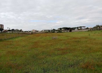 terreno - Terreno agricolo Via del Pino, Nettuno - foto 2