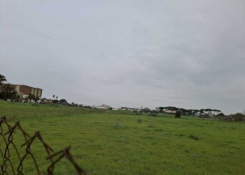 terreno - Terreno agricolo Via del Pino, Nettuno - foto 3