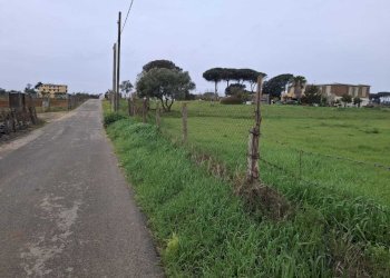 terreno - Terreno agricolo Via del Pino, Nettuno - foto 4