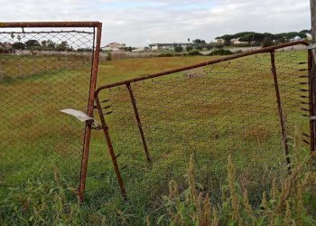 terreno - Terreno agricolo Via del Pino, Nettuno - foto 5