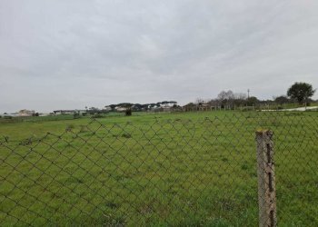 terreno - Terreno agricolo Via del Pino, Nettuno - foto 6