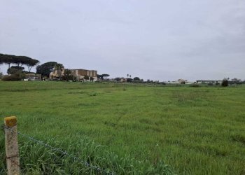terreno - Terreno agricolo Via del Pino, Nettuno - foto 7