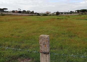 terreno - Terreno agricolo Via del Pino, Nettuno - foto 8