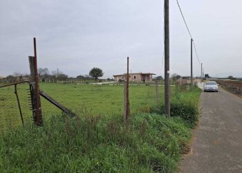 terreno - Terreno agricolo Via del Pino, Nettuno - foto 9