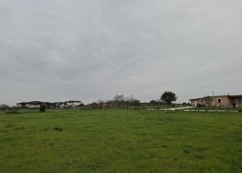 terreno - Terreno agricolo Via del Pino, Nettuno - foto 10