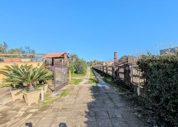 PXL_20260213_091552934~2.jpg - Villa Via Granieri 56, Nettuno - photo 6