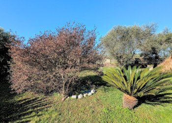 PXL_20260213_092023051~2.jpg - Villa Via Granieri 56, Nettuno - photo 16