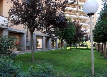 6d527d74-27d5-4bc4-89b1-45d39a5e63ad.jpg - Two-room apartment Viale Bruno Rizzieri 46, Roma - photo 14