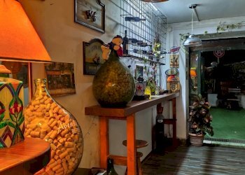 IMG_20251029_183301.jpg - Commercial Premises Viale Mencacci 34, Anzio - photo 12