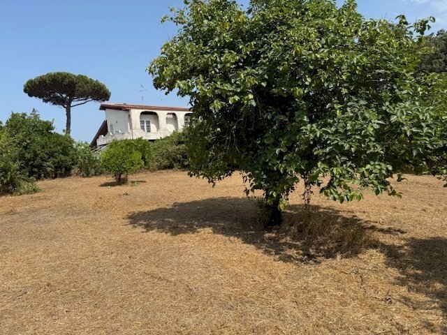 IMG_5720.jpg - Building land Via Viminale, Nettuno - photo 2