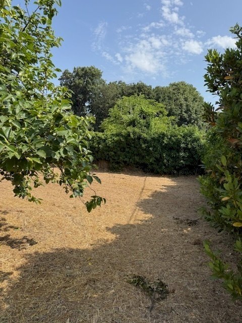 IMG_5721.jpg - Building land Via Viminale, Nettuno - photo 3