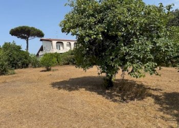 IMG_5720.jpg - Building land Via Viminale, Nettuno - photo 2