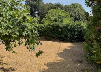 IMG_5721.jpg - Building land Via Viminale, Nettuno - photo 3