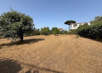 IMG_5722.jpg - Building land Via Viminale, Nettuno - photo 4