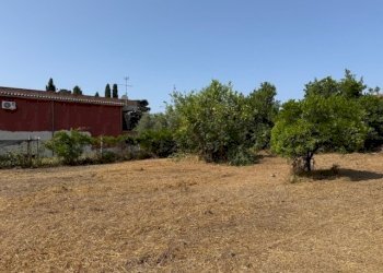 IMG_5725.jpg - Building land Via Viminale, Nettuno - photo 7