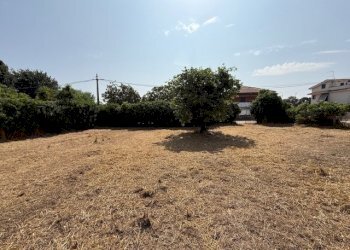 IMG_5730.jpg - Building land Via Viminale, Nettuno - photo 12