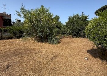 IMG_5731.jpg - Building land Via Viminale, Nettuno - photo 13