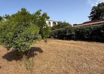 IMG_5732.jpg - Building land Via Viminale, Nettuno - photo 14