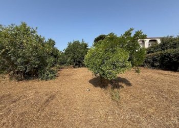 IMG_5733.jpg - Building land Via Viminale, Nettuno - photo 15