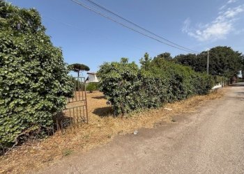 IMG_5734.jpg - Building land Via Viminale, Nettuno - photo 16