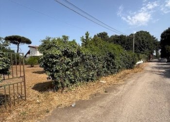 IMG_5735.jpg - Building land Via Viminale, Nettuno - photo 17