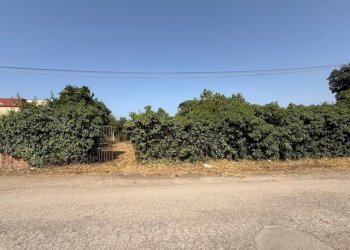 IMG_5736.jpg - Building land Via Viminale, Nettuno - photo 18
