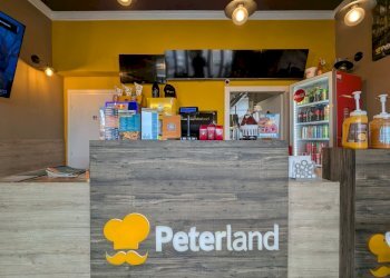 1000079844 - Panineria - Piadineria - Creperia Viale Giacomo Matteotti 117, Nettuno - foto 3