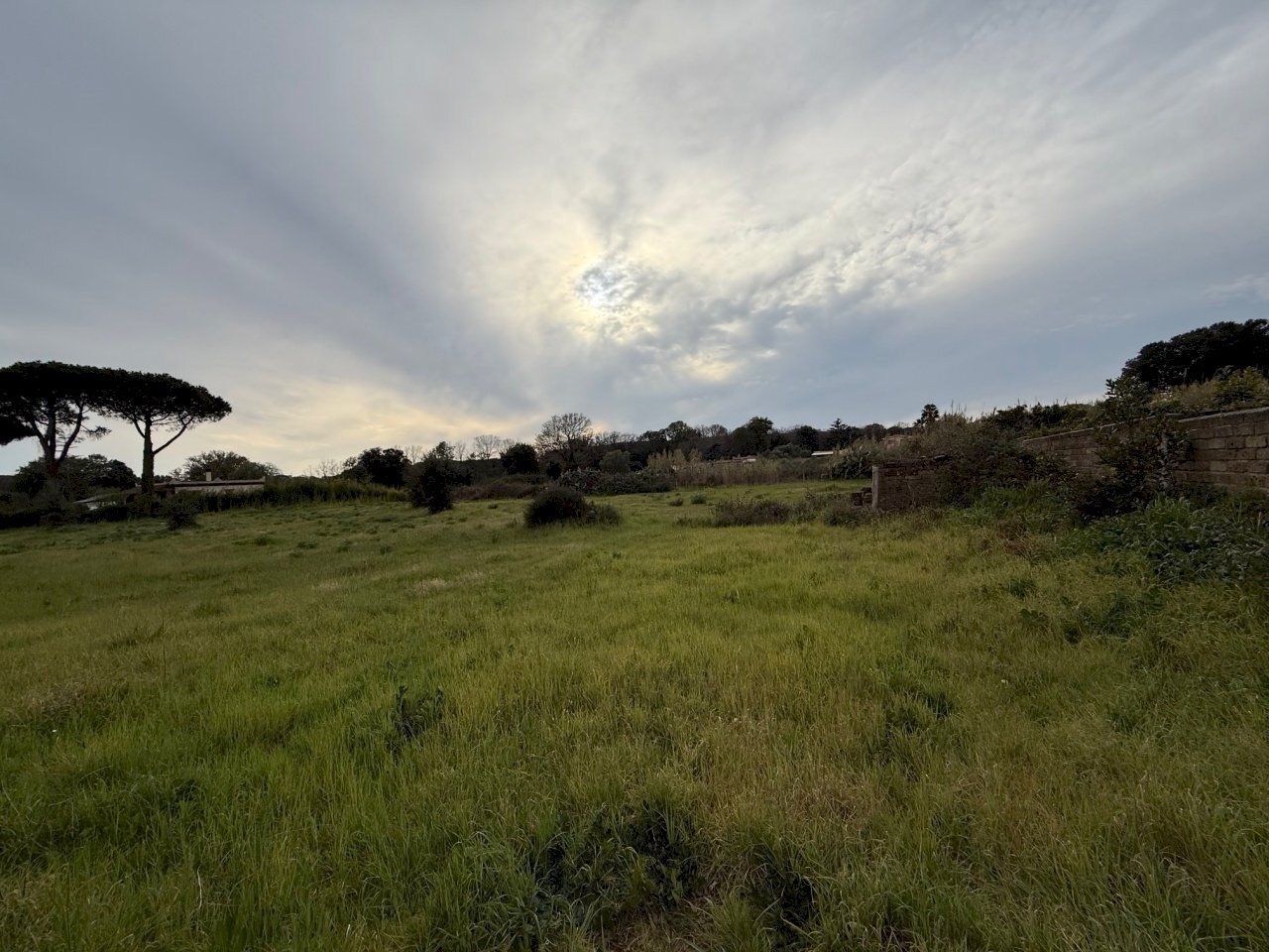 IMG_4578.jpg - Building land VIA CENTOCELLE 1, Anzio - photo 3