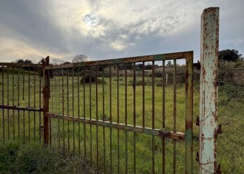 IMG_4576.jpg - Building land VIA CENTOCELLE 1, Anzio - photo 1
