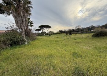 IMG_4580.jpg - Building land VIA CENTOCELLE 1, Anzio - photo 5