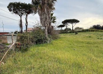 IMG_4581.jpg - Building land VIA CENTOCELLE 1, Anzio - photo 6