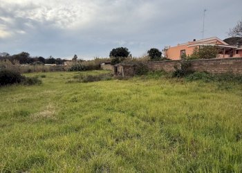 IMG_4582.jpg - Building land VIA CENTOCELLE 1, Anzio - photo 7