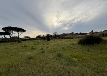 IMG_4583.jpg - Building land VIA CENTOCELLE 1, Anzio - photo 8
