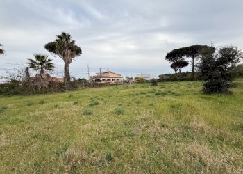 IMG_4586.jpg - Building land VIA CENTOCELLE 1, Anzio - photo 11