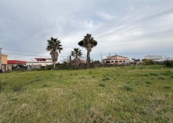 IMG_4587.jpg - Building land VIA CENTOCELLE 1, Anzio - photo 12
