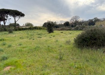 IMG_4591.jpg - Building land VIA CENTOCELLE 1, Anzio - photo 16