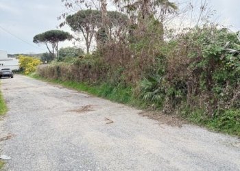 IMG_4593.jpg - Building land VIA CENTOCELLE 1, Anzio - photo 18