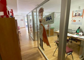 cf08c08e-2eb6-4496-a311-ccc703202b29.jpg - Commercial Premises Via Francesco Breschi 28, Anzio - photo 5