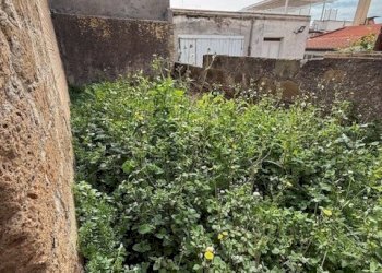 IMG_4385.jpg - Magazzino Viale Guglielmo Marconi 229, Anzio - foto 7