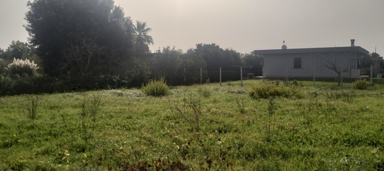 IMG20241015111923.jpg - Terreno agricolo Via Lago di Sirino, Nettuno - foto 2