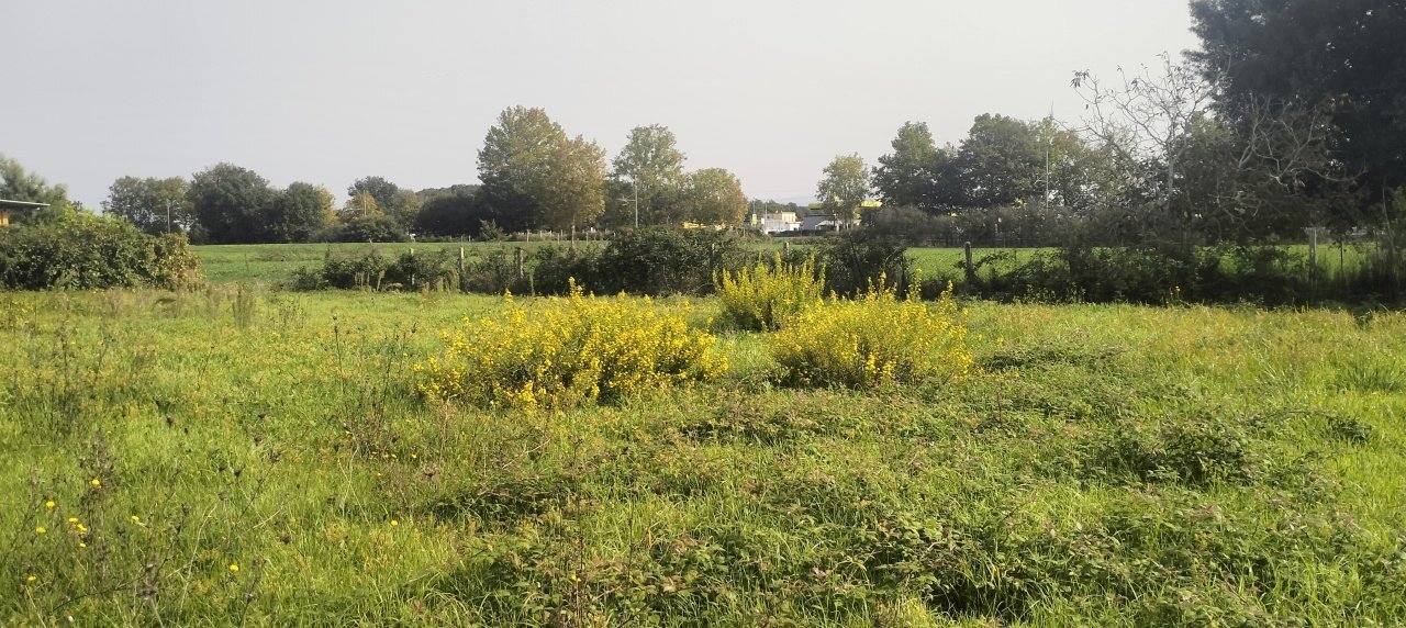 IMG20241015112001.jpg - Terreno agricolo Via Lago di Sirino, Nettuno - foto 3