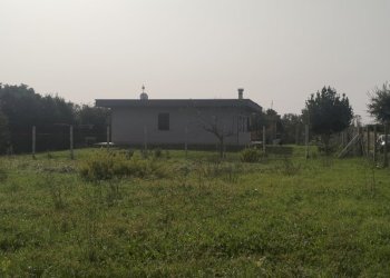 IMG20241015111931.jpg - Terreno agricolo Via Lago di Sirino, Nettuno - foto 1