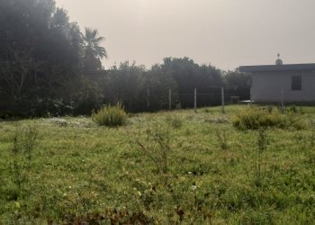 IMG20241015111923.jpg - Terreno agricolo Via Lago di Sirino, Nettuno - foto 2