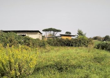 IMG20241015112055.jpg - Terreno agricolo Via Lago di Sirino, Nettuno - foto 4