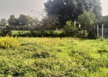 IMG20241015112006.jpg - Terreno agricolo Via Lago di Sirino, Nettuno - foto 5