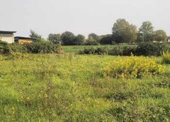 IMG20241015112011.jpg - Terreno agricolo Via Lago di Sirino, Nettuno - foto 6