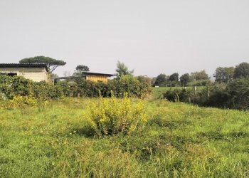 IMG20241015112036.jpg - Terreno agricolo Via Lago di Sirino, Nettuno - foto 7